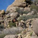MCAS Yuma ARFF Marines Conduct Memorial Hike