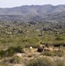 MCAS Yuma ARFF Marines Conduct Memorial Hike