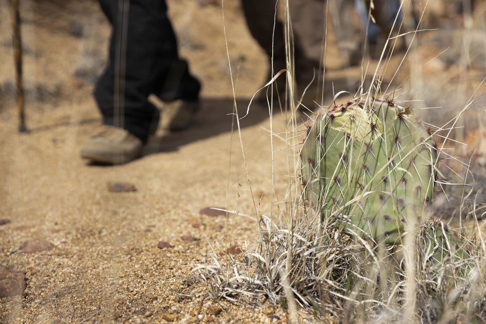 MCAS Yuma ARFF Marines Conduct Memorial Hike