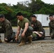 Kaizen-X | 3rd Medical Battalion and CLR-37’s CBRN Responders Conduct Casualty Care Training in a Role 2 Setting