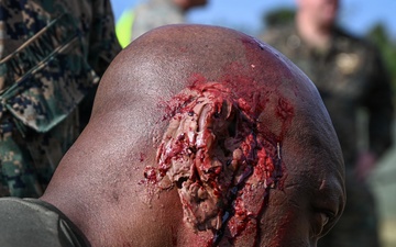 Kaizen-X | 3rd Medical Battalion Conducts Mass Casualty Training in a Role 2 Setting