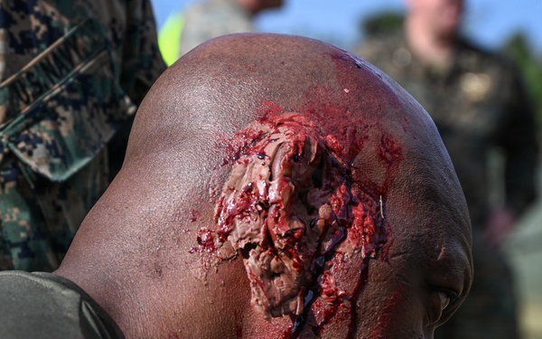 Kaizen-X | 3rd Medical Battalion Conducts Mass Casualty Training in a Role 2 Setting