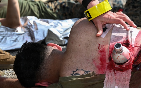 Kaizen-X | 3rd Medical Battalion Conducts Mass Casualty Training in a Role 2 Setting