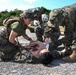 Kaizen-X | 3rd Medical Battalion Conducts Mass Casualty Training in a Role 2 Setting