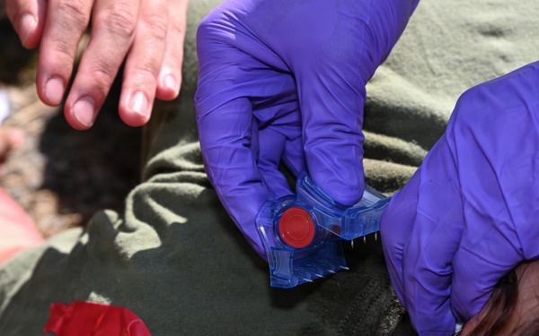 Kaizen-X | 3rd Medical Battalion Conducts Mass Casualty Training in a Role 2 Setting