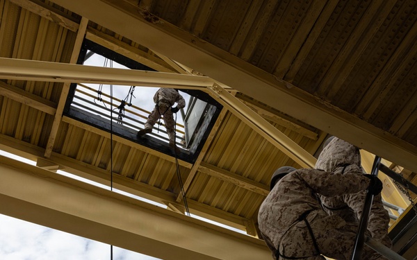 Echo Company Rappel Tower