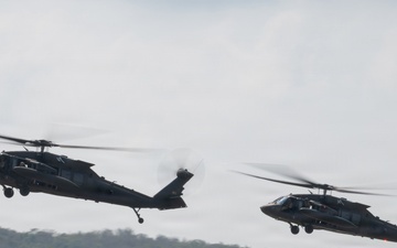 AMPHIBEX Cobra Gold 2026