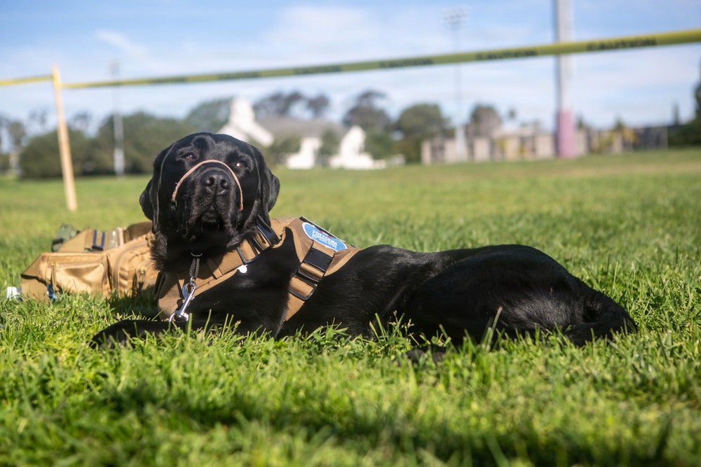 Marine Corps Air Force Trials 2026