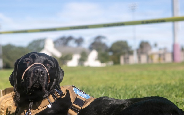 Marine Corps Air Force Trials 2026