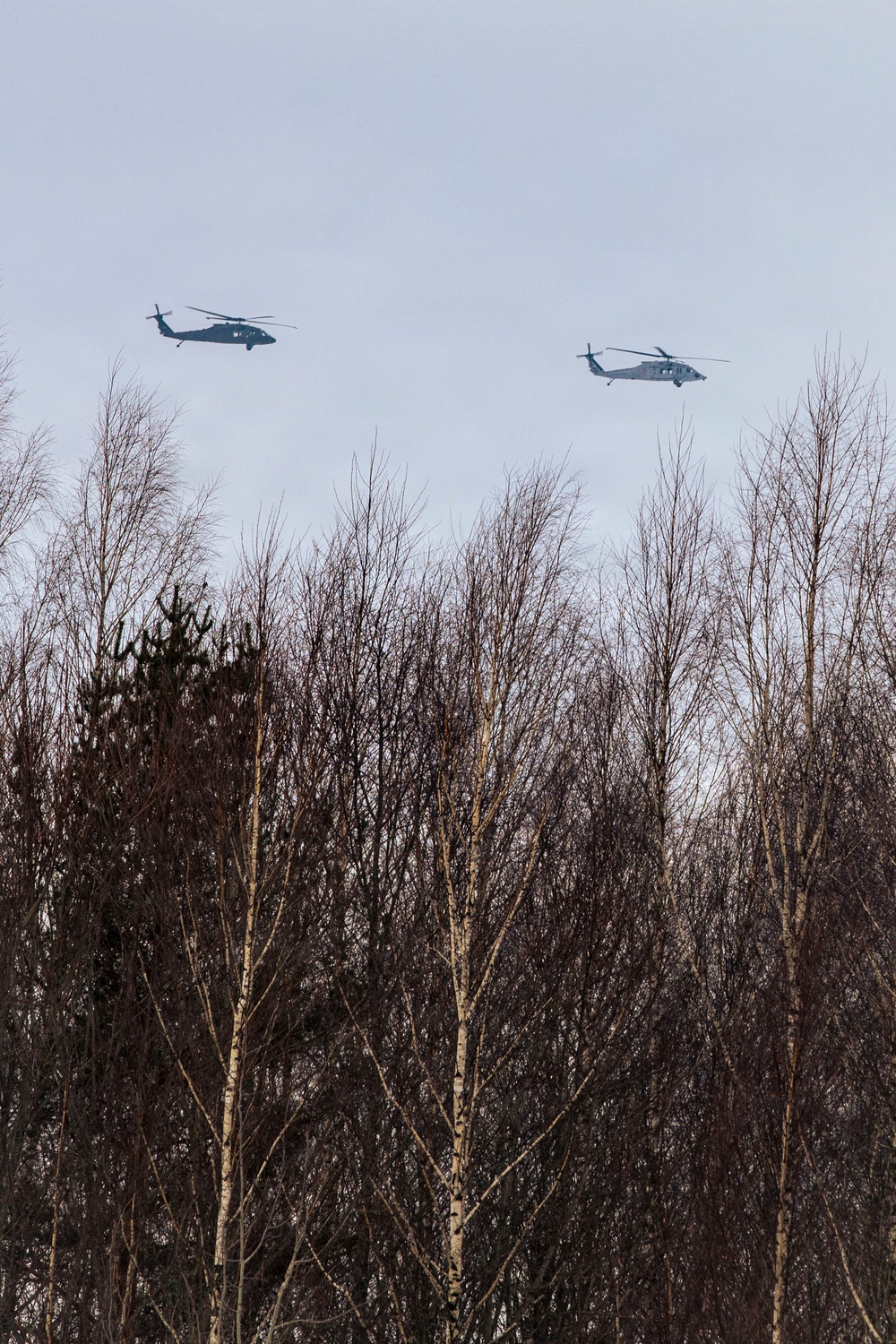 3rd Combat Aviation Brigade and Latvian Airforce conduct Latvia's first multinational UH-60 multi-ship flight