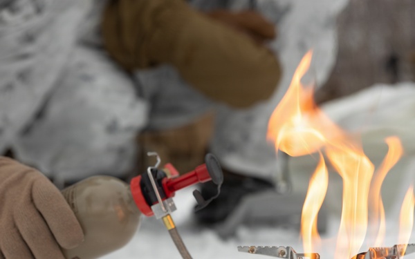 CORE26 | U.S. Marines, Sailors Participate in Cold Weather Training for Arctic Exercise