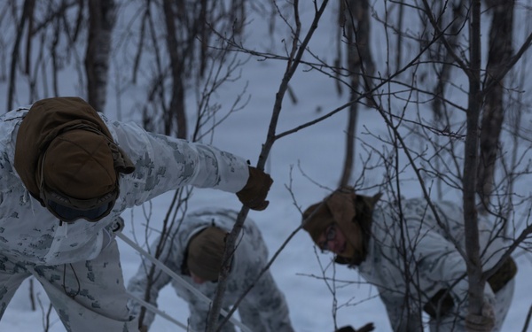 CORE26 | U.S. Marines, Sailors Participate in Cold Weather Training for Arctic Exercise