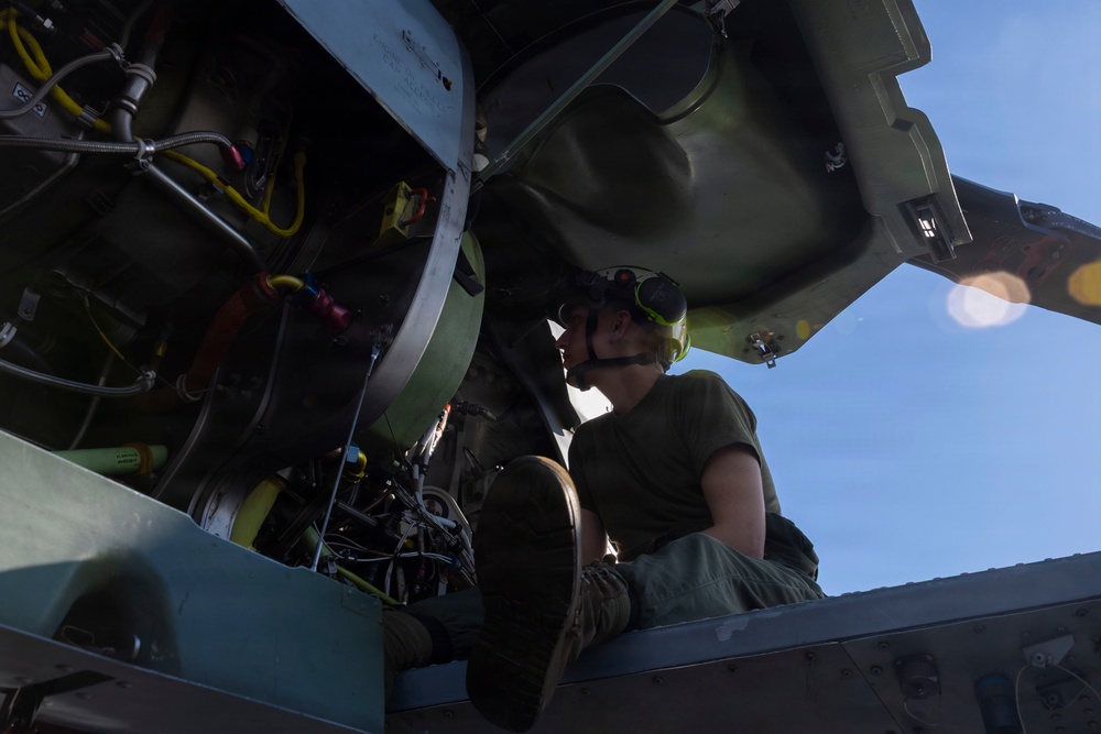 U.S. Marines with HMLA-269 conduct routine maintenance during MAG-29 DAO Exercise