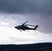 3rd Infantry Division AH-64 Apache Crews Conduct Aerial Gunnery in Bulgaria