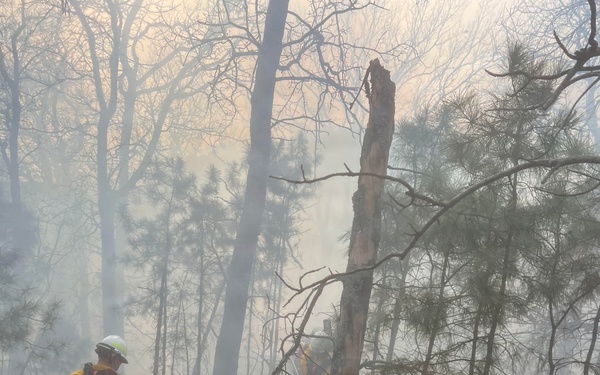 Oklahoma National Guard wildland firefighting crews battle Oklahoma blazes