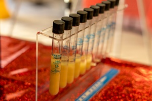 AFN Naples Radio News- Vicenza Library Summer Reading & Purple Heart Day Speech