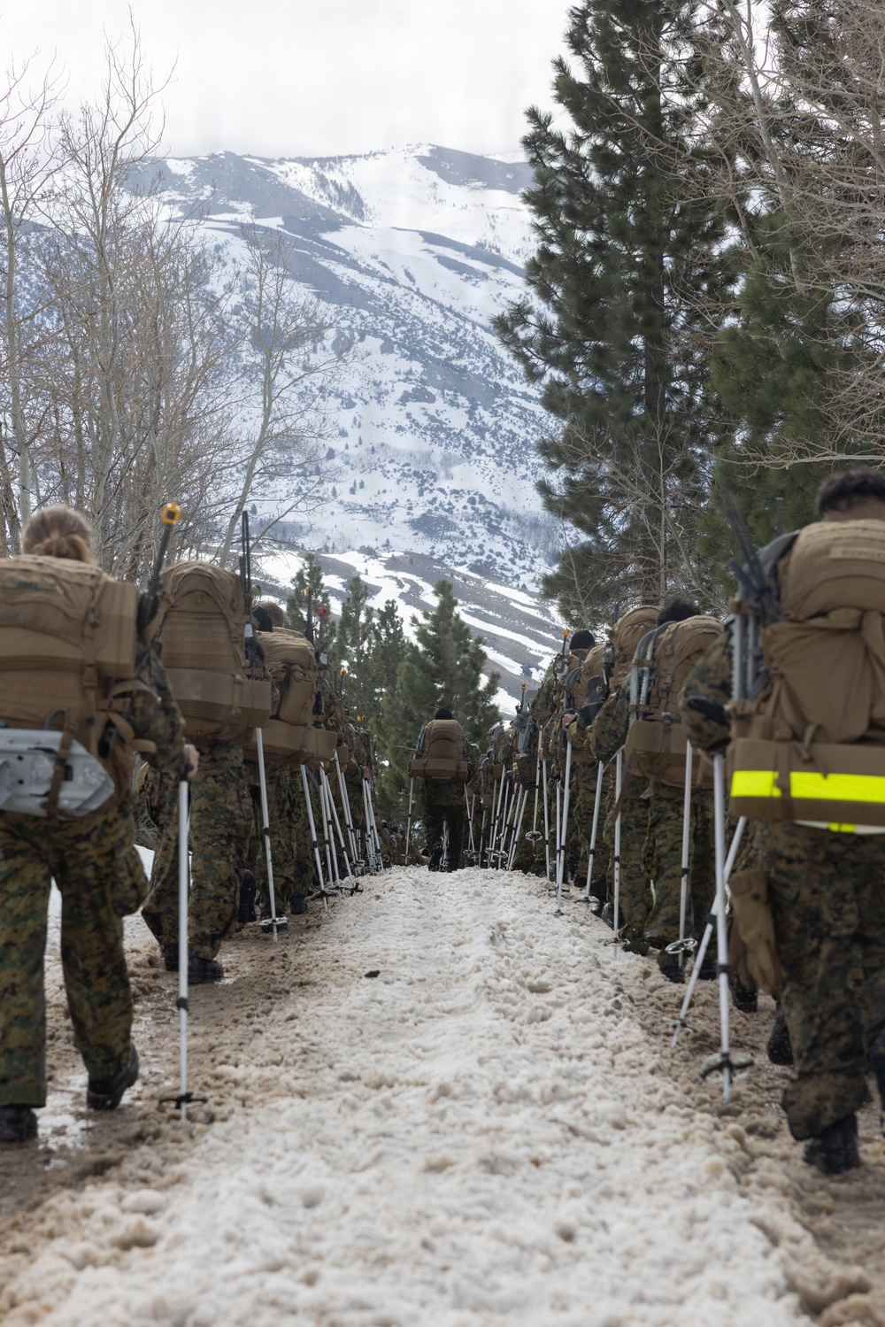 MTX 2-26: U.S. Marines with 2nd Combat Engineer Battalion, 2nd Marine Division conduct an acclimation hike