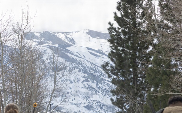 MTX 2-26: U.S. Marines with 2nd Combat Engineer Battalion, 2nd Marine Division conduct an acclimation hike