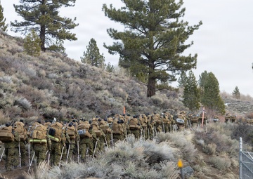 MTX 2-26: U.S. Marines with 2nd Combat Engineer Battalion, 2nd Marine Division conduct an acclimation hike