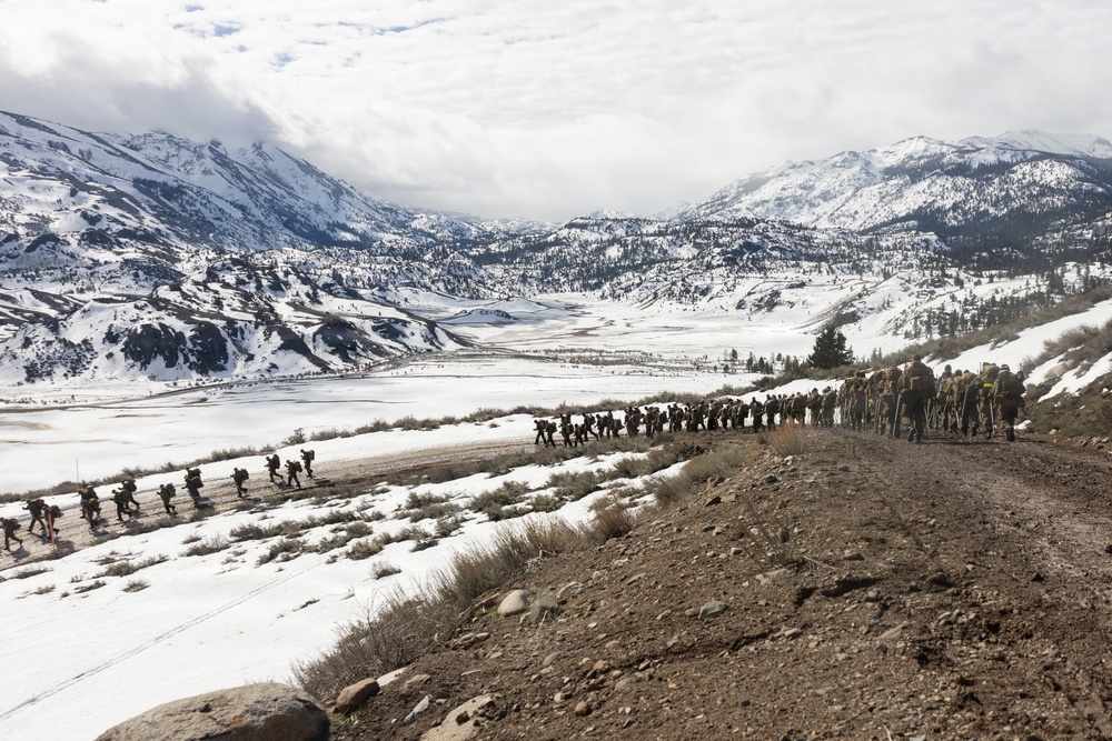 MTX 2-26: U.S. Marines with 2nd Combat Engineer Battalion, 2nd Marine Division conduct an acclimation hike