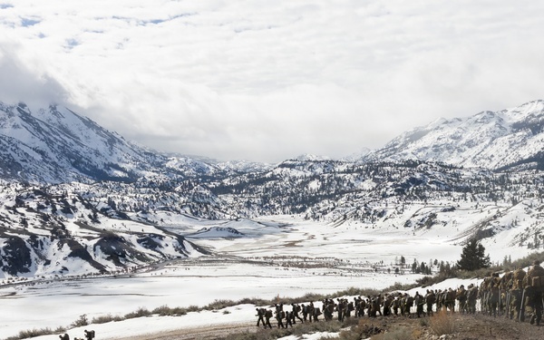 MTX 2-26: U.S. Marines with 2nd Combat Engineer Battalion, 2nd Marine Division conduct an acclimation hike