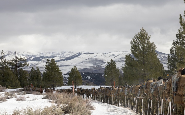 MTX 2-26: U.S. Marines with 2nd Combat Engineer Battalion, 2nd Marine Division conduct an acclimation hike
