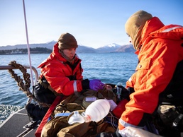 Cold weather joint medical evacuation exercise at Arctic Edge 26