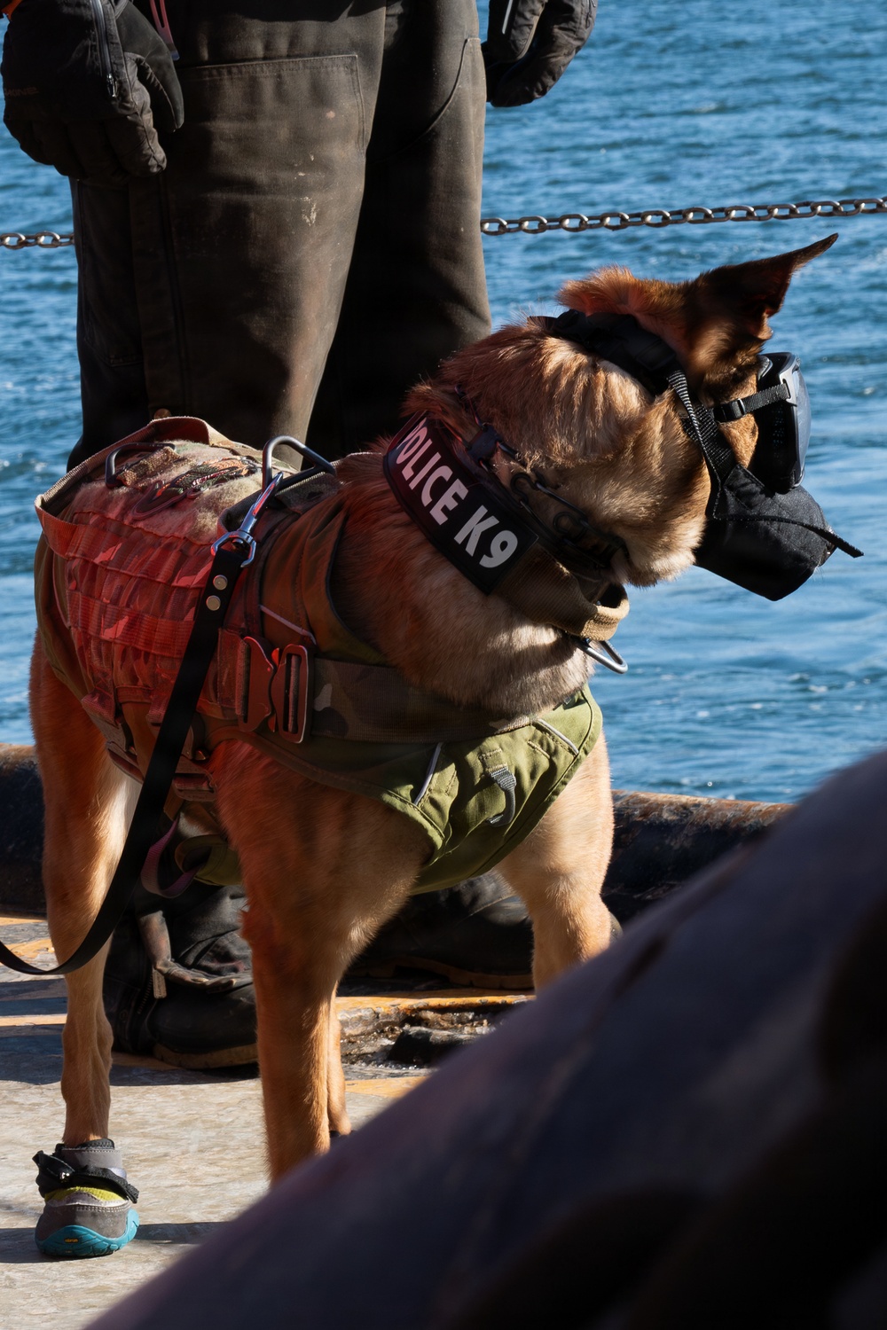 ARCTIC EDGE 26 USCGC Fir Casualty Exercise