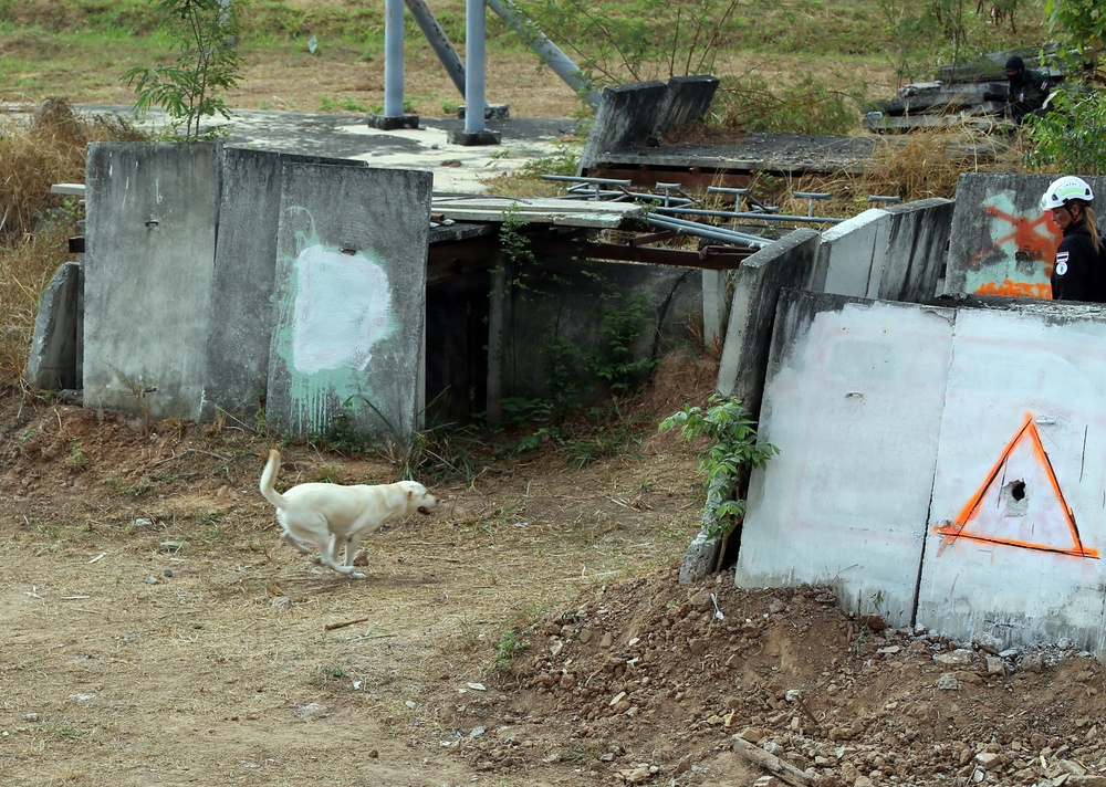 Cobra Gold 2026 Demonstrates Multinational Humanitarian Assistance and Disaster Relief Readiness