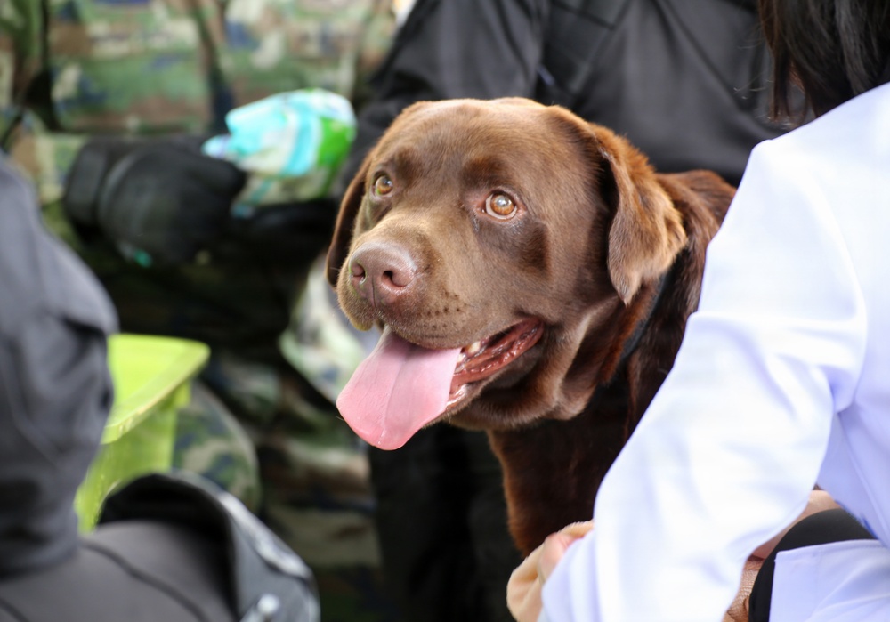 Cobra Gold 2026 Demonstrates Multinational Humanitarian Assistance and Disaster Relief Readiness