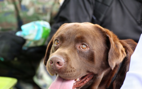 Cobra Gold 2026 Demonstrates Multinational Humanitarian Assistance and Disaster Relief Readiness