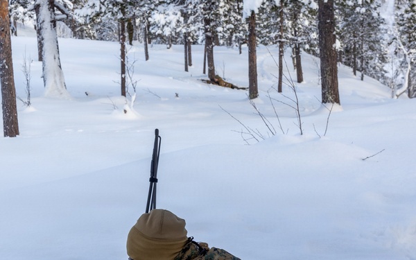 CORE 26 | Logistics Marines Sharpen Tactical Skills during Arctic Exercise