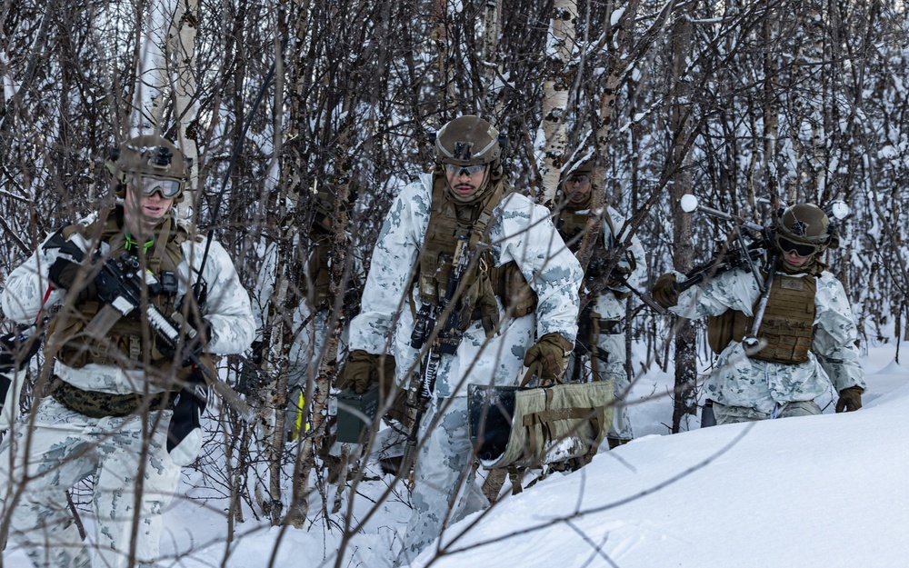 CORE26 | U.S. Marines conduct Live-Fire and Maneuver Squad Attacks in Norway