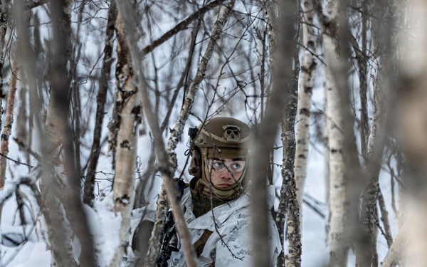 CORE26 | U.S. Marines conduct Live-Fire and Maneuver Squad Attacks in Norway