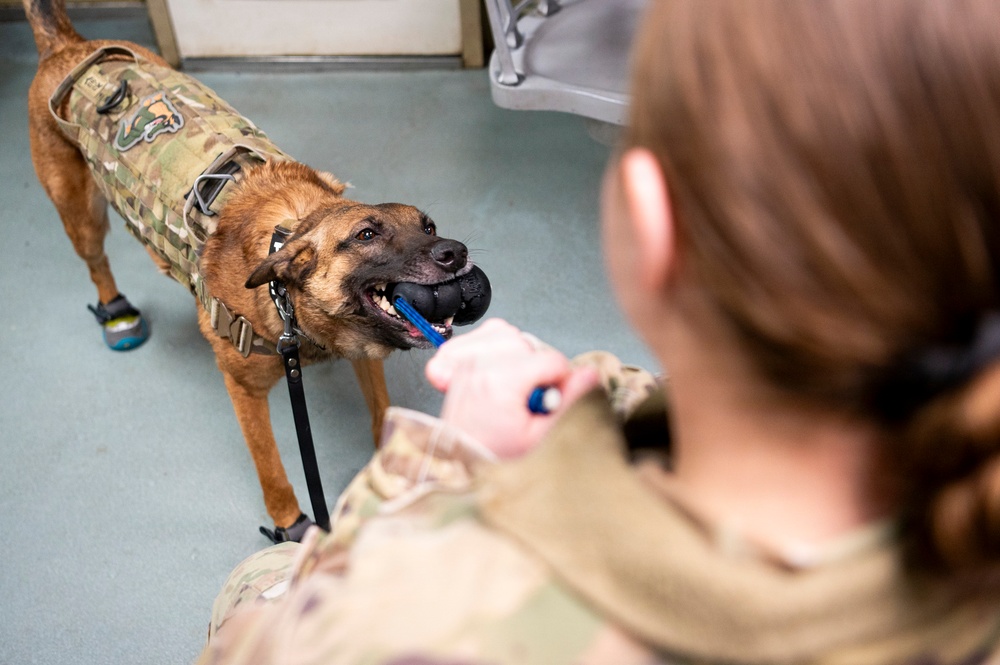 Arctic Edge 26: Ship-to-Shore Patient Transport