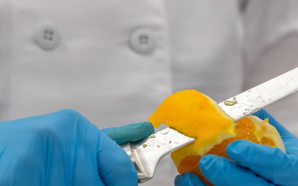 Army Reserve Pastry Student Skills Salon