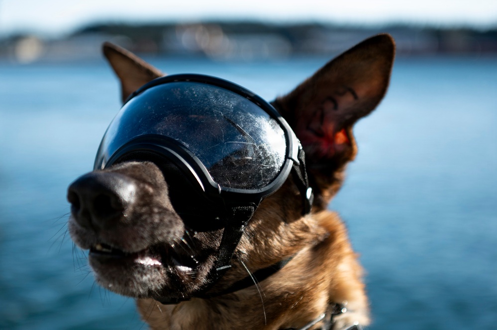 Arctic Edge 26: Ship-to-Shore Patient Transport