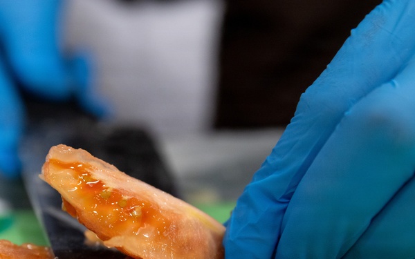 Army Reserve Student Skills Salon