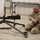 Soldiers compete in Tennessee State Best Warrior Competition