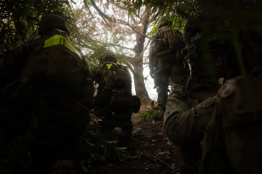 U.S. Marines with 12th LCT Execute Live-Fire Platoon Sized Attack