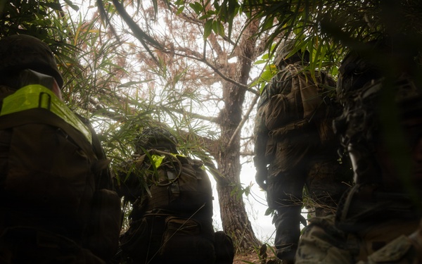U.S. Marines with 12th LCT Execute Live-Fire Platoon Sized Attack