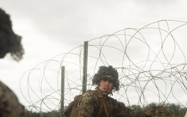 U.S. Marines with 12th LCT Execute Live-Fire Platoon Sized Attack