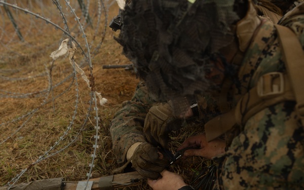 U.S. Marines with 12th LCT Execute Live-Fire Platoon Sized Attack