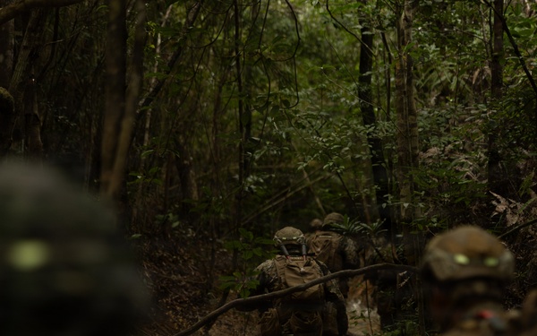 U.S. Marines with 12th LCT Execute Live-Fire Platoon Sized Attack
