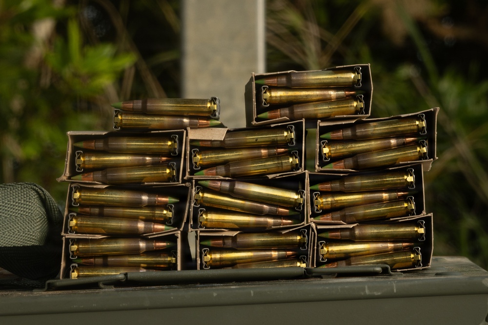 U.S. Marines with 12th LCT Execute Live-Fire Platoon Sized Attack