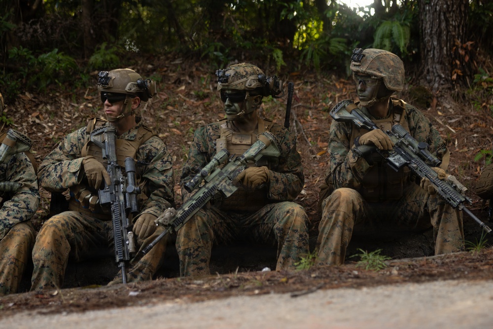 U.S. Marines with 12th LCT Execute Live-Fire Platoon Sized Attack