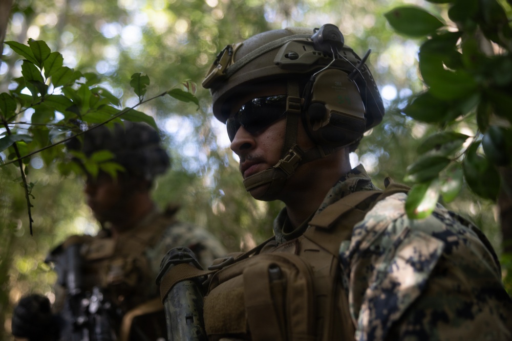 U.S. Marines with 12th LCT Execute Live-Fire Platoon Sized Attack