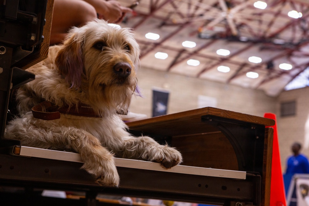 Marine Corps Air Force Trials 2026