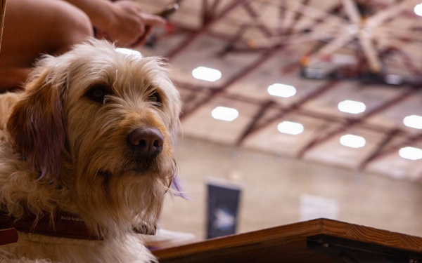 Marine Corps Air Force Trials 2026