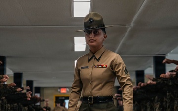 Golf Company Pick Up